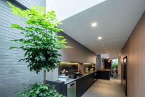 Thiết kế giếng trời sau nhà có tiểu cảnh khô