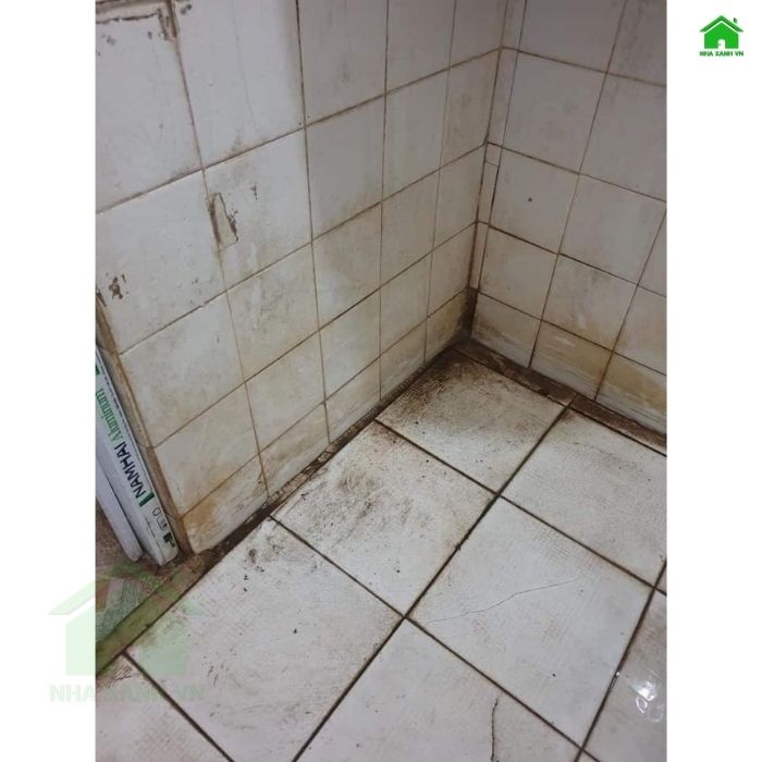 Nền/tường gạch ẩm mốc - hình minh họa. Nguồn Internet