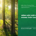 Mệnh mộc hợp hướng nào?