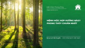 Mệnh mộc hợp hướng nào?