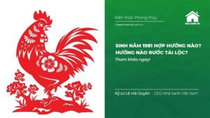 Sinh năm 1981 hợp hướng nào?