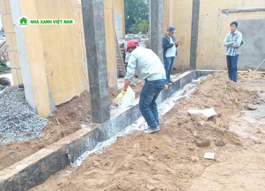 Diệt mối bằng dạng bột