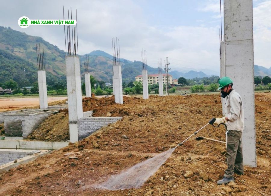 Phòng chống mối dành cho nhà mới xây với đất nền