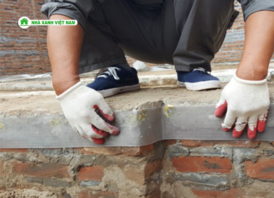 ắp đặt lưới chống mối Termimesh ở chân tường