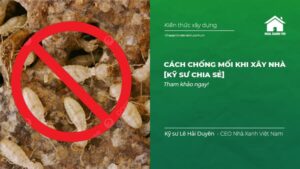 Cách Chống Mối Khi Xây Nhà [Kỹ Sư chia sẻ]