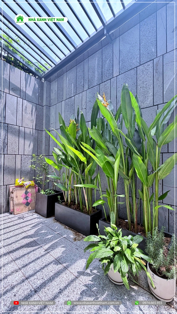 Tiểu cảnh sân thượng xanh mát