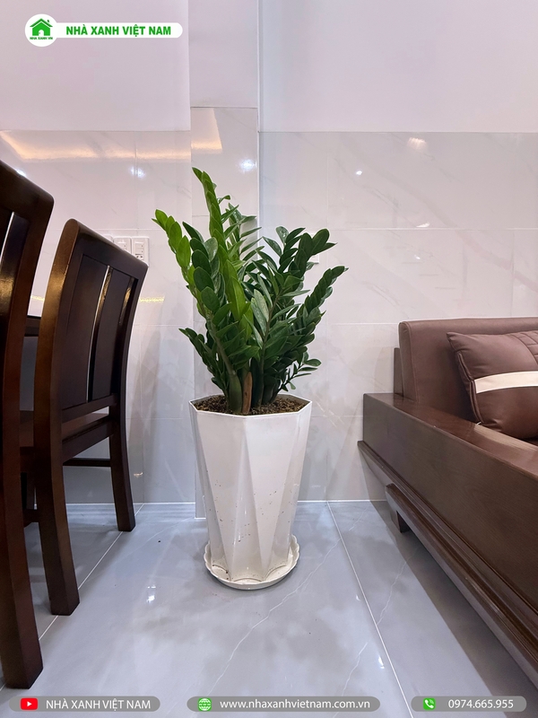 Mẫu nhà phố 2 tầng hiện đại 4x16m tại Biên Hòa NP2T-NX-14 90 Hình ảnh hoàn thiện phòng khách - view 7